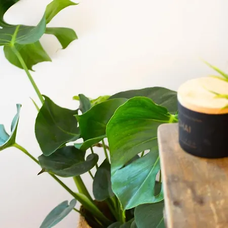 Casa Quint * Csakbereny