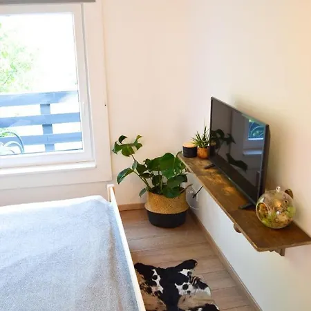 Casa Quint בית נופש Csakbereny