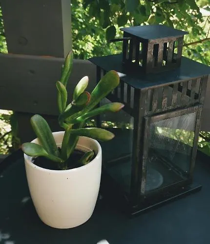 Holiday home Casa Quint *