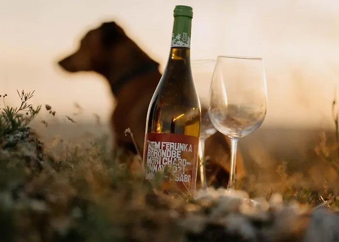 Casa Quint * Csakbereny