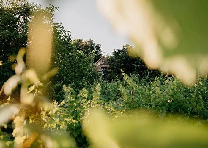 Casa Quint Holiday home Csakbereny