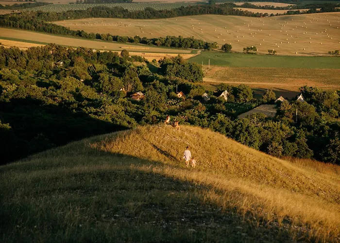 Holiday home Casa Quint Csakbereny